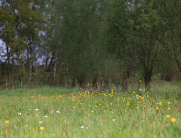 Boerenbond hekelt onduidelijkheden over kaartlagen in verzamelaanvraag 2026