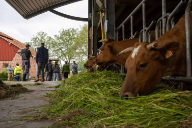 Widar_zorgboerderij4