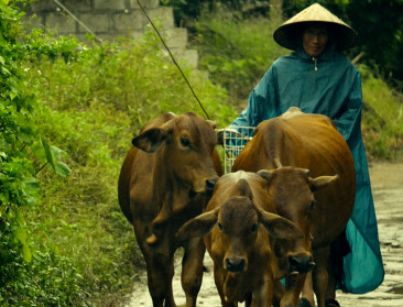 EU-Parlement keurt vrijhandelsakkoord met Vietnam goed