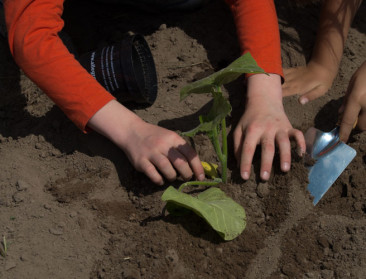 Hulpbehoevende kan toelage besteden aan groene zorg