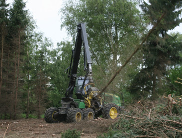 Economische functie van bossen verdient opwaardering