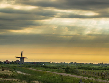 Aantal landbouwbedrijven in Nederland daalt voor het eerst onder 50.000