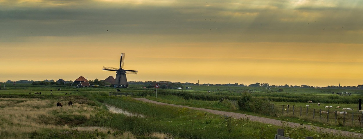 Sfeerbeeld landbouw Nederland