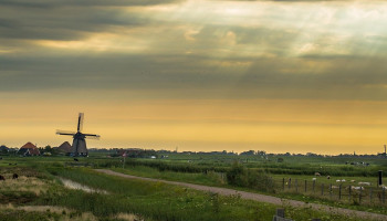 Aantal landbouwbedrijven in Nederland daalt voor het eerst onder 50.000