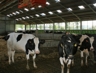 Vlaamse steun voor toetsing ammoniakbeleid in Nederland