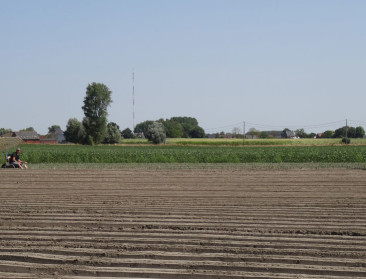 Inkomen van Vlaamse boeren is verdampt door 'topzomer'