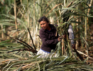 Niet EU-landen beschermen suikermarkt steeds meer