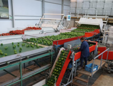 Honger was de drijfveer voor een gemeenschappelijk landbouwbeleid