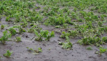 Is het nog nuttig dat gemeentebesturen schattingscommissies samenroepen?