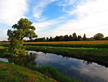 Kan waterarrest Ineos ook gevolgen hebben voor landbouwsector?