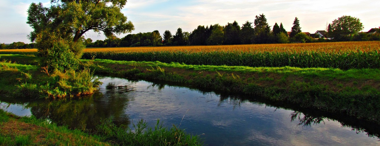 beek water rivier