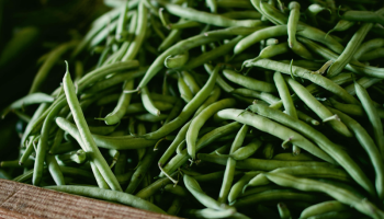 Wordt tuinboon de nieuwe soja? ‘Protein Project’ vindt gewas ernstig ondergewaardeerd