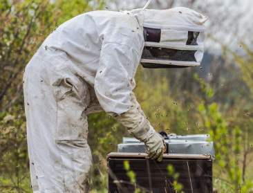 Honeybee Valley bestaat 10 jaar: “Stilaan een vaste waarde in Vlaams imkerlandschap”