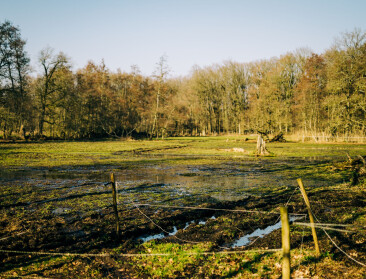Provincie Antwerpen start valleiherstel van de Aa