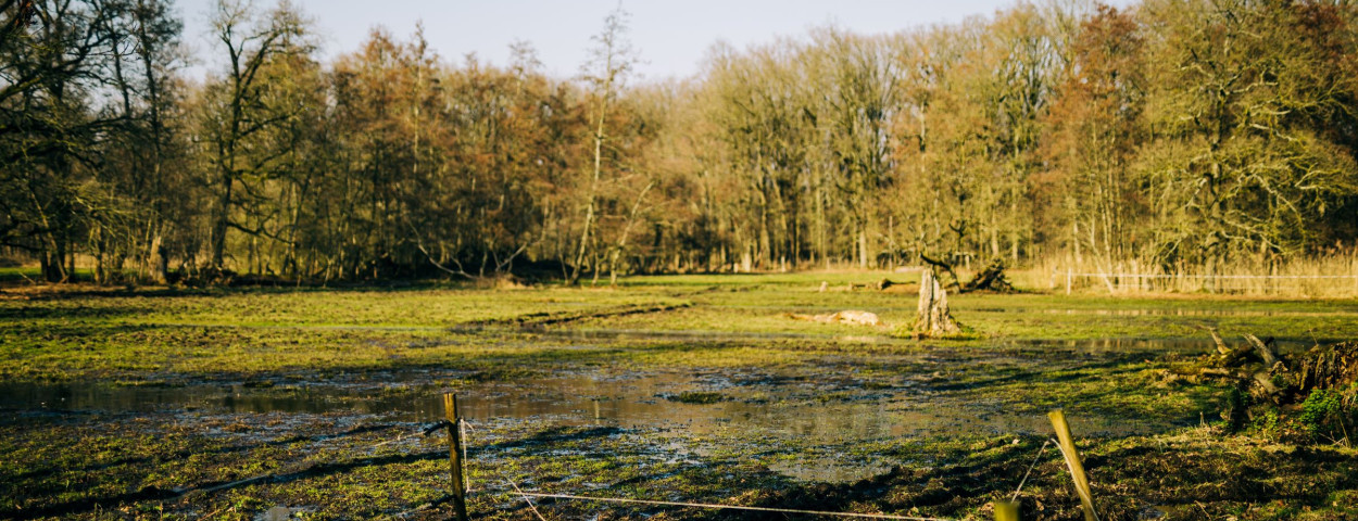 Valleiherstel Aa _Provincie Antwerpen