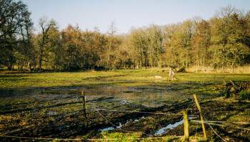 Provincie Antwerpen start valleiherstel van de Aa