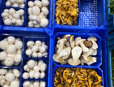 Bye bye blauwe bakjes? Supermarkten zoeken ecologisch alternatief