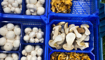 Bye bye blauwe bakjes? Supermarkten zoeken ecologisch alternatief