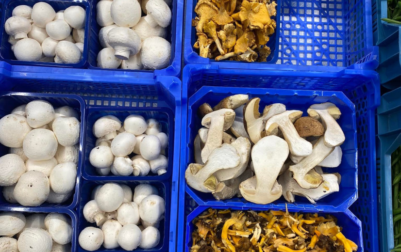 Bye bye blauwe bakjes? Supermarkten zoeken ecologisch alternatief