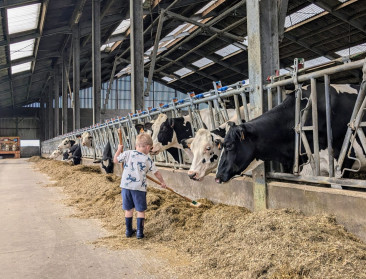 GLB-hervorming versterkt jonge landbouwers en kleinere bedrijven