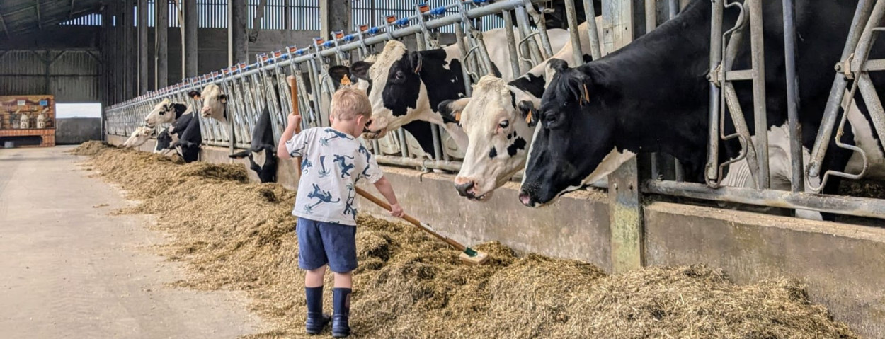 Jozefien kind boerderij koe stal jong