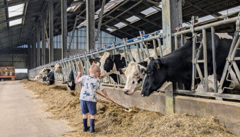 GLB-hervorming versterkt jonge landbouwers en kleinere bedrijven