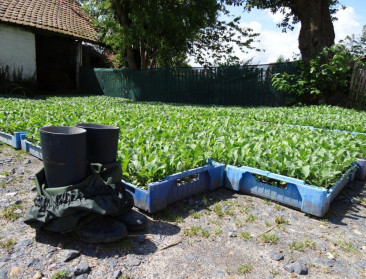 BioForum pleit voor agro-ecologie op Wereldvoedseldag