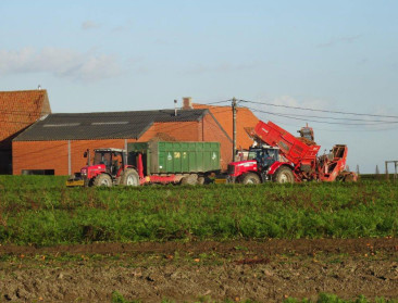 Vlaamse landbouwer kijkt iets positiever naar toekomst