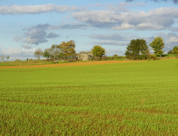 Groenen willen dat Hogan plannen voor GLB intrekt