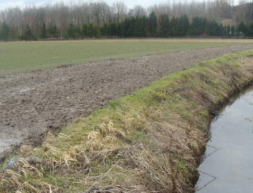 Milieuwetenschappers bang voor insecticiden in water