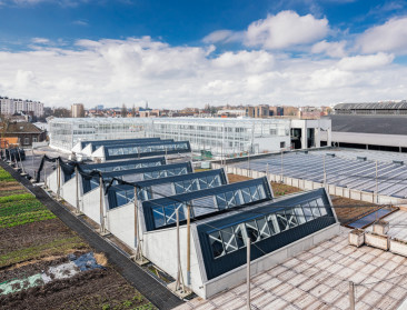Grootste Europese aquaponics boerderij geopend