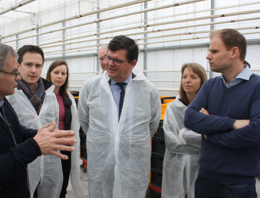 Tommelein herhaalt belang van kleine biomassacentrales