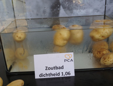 Aardappelopbrengst voorlopig net onder gemiddelde