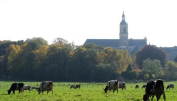 Landbouwkompas helpt provincie Antwerpen bij agrarische herontwikkeling