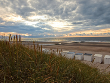 Ecosysteem Belgische Noordzee staat onder druk door vervuiling en klimaatverandering
