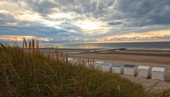 Ecosysteem Belgische Noordzee staat onder druk door vervuiling en klimaatverandering