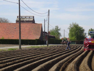 Ruim 55.600 hectare aardappelen geplant in Vlaanderen
