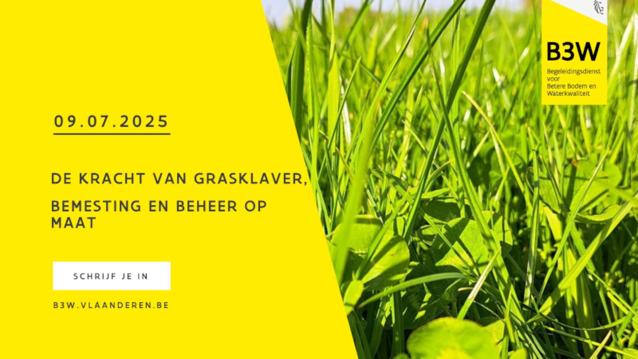 De kracht van grasklaver, bemesting en beheer op maat