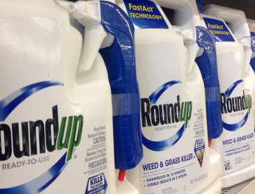 Monsanto veroordeeld tot 1,5 miljard dollar in Roundup-rechtszaak