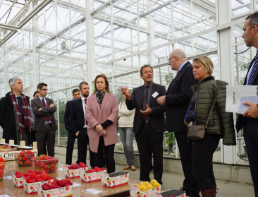 Hogan onder de indruk van praktijkonderzoek fruitteelt