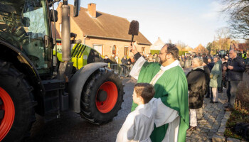 Tractorzegening en varkenskoppen onder de hamer tijdens Sint-Antoniusviering