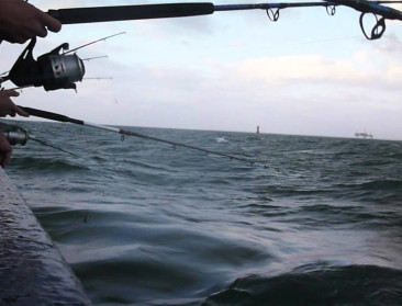 Recreatieve visserijvloot in België telt 631 vaartuigen