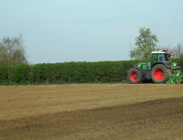 Een nieuwe munt voor biodiversiteit: EU lanceert natuurkrediet dat boeren vergoedt voor inspanningen