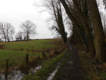 IHD: "Parlementsleden, kom je afspraken na en snel"