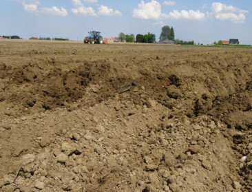 Geen uitzondering meer op verplichte aardappelrotatie