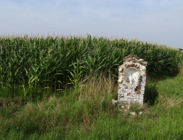 Waarom wonen naast een maïsveld niet moet verontrusten