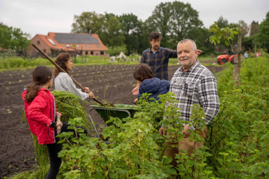 Dirk Govaerts van Widar