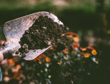 Hoe maak je je tuin klimaatbestendig?