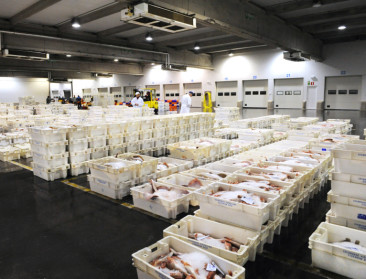 VLAM: “Pijnpunten visserij in Seaspiracy niet algemeen en niet overal toepasselijk”