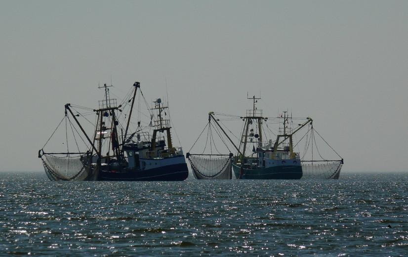 Controles op illegale visserij schieten tekort, zegt Europese Rekenkamer
